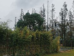 -前小桔亲子创意农场·草莓采摘·露营烧烤