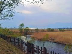 -野鸭湖国家湿地公园