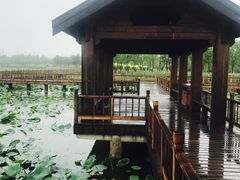 -天津东丽湖风景区