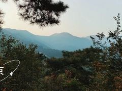 -香山公园