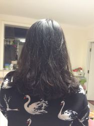 -红人馆造型世爵国际