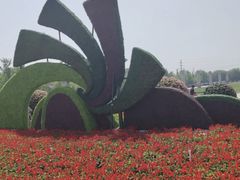 -石家庄市植物园