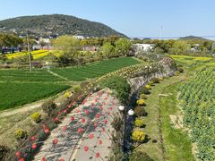-苏州太湖西山岛开心农场