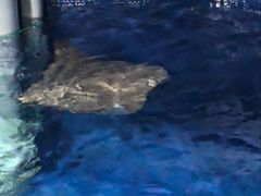 -沈阳海洋探索中心