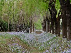 -将府公园