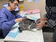 -半岛宠物医院24小时·内窥镜·牙科·碎石中心(府城大道店)