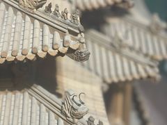 -北京古代建筑博物馆