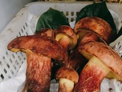 见手青-菌之家·专业纯野生菌火锅·特色炒菌