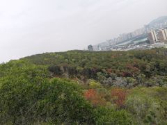 -狐尾山公园