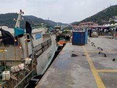 -东澳岛