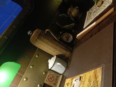 -武汉知音号