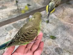 -顺德南宏海立方海洋公园