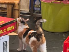 -大风老火锅(江北一店)