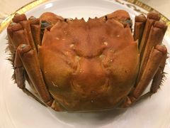 -王宝和酒家(黄浦店)