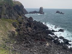 -涉地可支