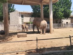 -石家庄市动物园