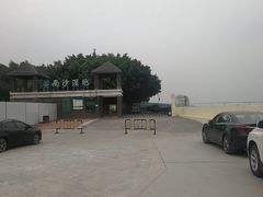 -大湾区中央湿地公园-十九涌