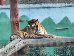 -星巴克(杭州市民中心店)