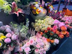 -大自然花鸟鱼虫市场