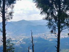 -长虫山生态公园风景林