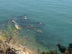 -棒棰岛宾馆景区