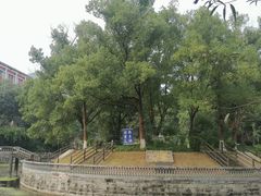 -西南政法大学(沙坪坝校区)