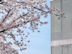 -龙美术馆(西岸馆)