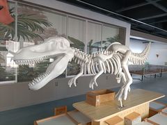 -宁波九龙湖开元度假村