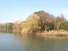 -新江湾城公园