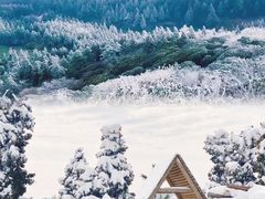 -四明山国家森林公园