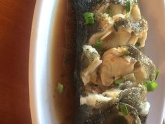 -坛南湾阿强农家乐.海鲜大排档老字号(福州地标美食店)
