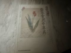 -浅深(北京北四环精品店)