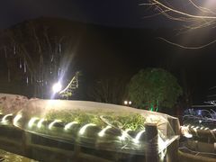 -楠柏弯休闲山庄(梨花溪店)