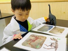 -神奇科学家STEAM科学实验科创赛事机器人编程逻辑思维MadScience(长宁来福士校区)