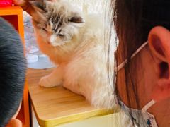 -平行世界·猫咖(首经贸店)