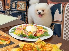 -沏点Trattoria意大利餐厅(新街口店)