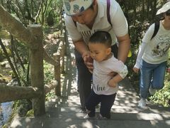-牛背梁国家森林公园