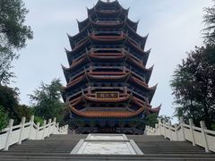 -铁山坪森林公园