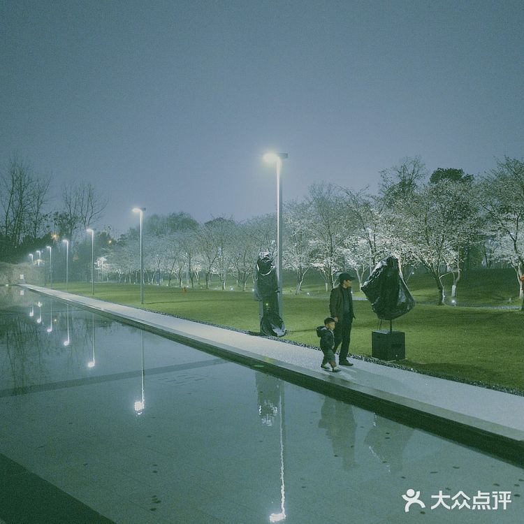 杭州樱花🌸这里晚上拍樱花！太梦幻了吧！