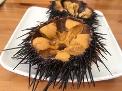 -海胆小馆(东北水饺·春柳店)