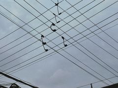 -陆家浜路(地铁站)