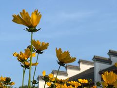 -鹅湖玫瑰文化园