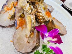 -东海怡品海鲜豆捞(舟宿夜江店)
