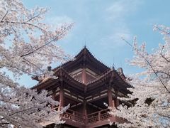 -西安青龙寺遗址景区