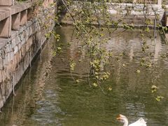 -苏州文庙(姑苏区)