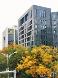 -中国黄金(北京旗舰店)