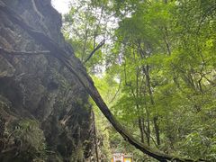 -龙宫洞风景区