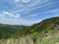 -云顶山风景区