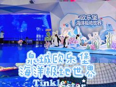 -泉城欧乐堡海洋极地世界