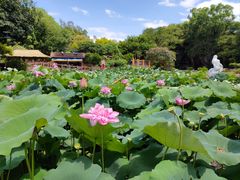 -广州莲花山旅游区